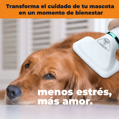 Cepillo Secador Mascotas 2 en 1 - F